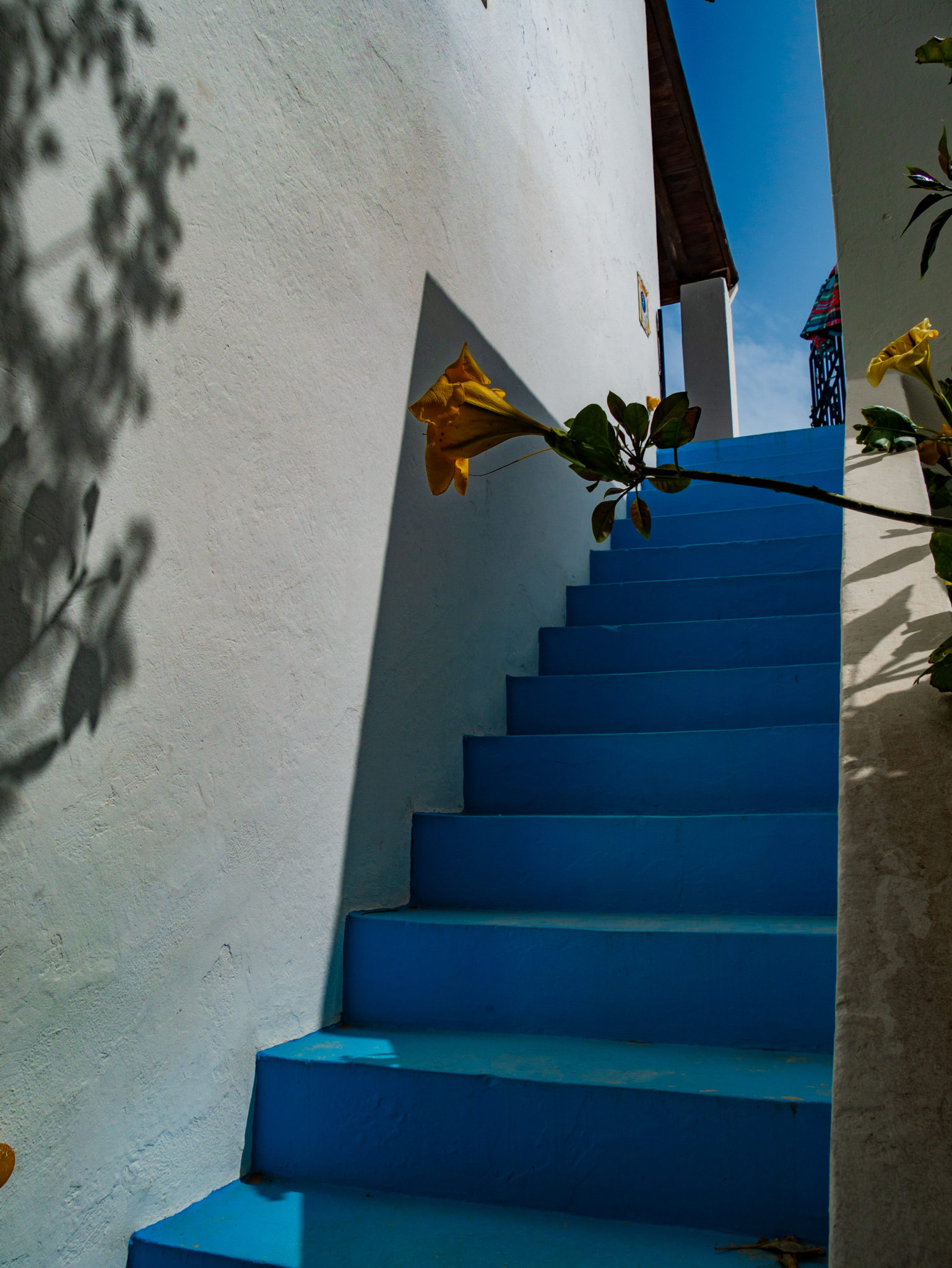Escalier bleu à Panaréa