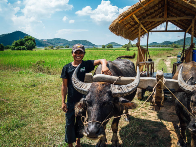Kampot, poivre et sel