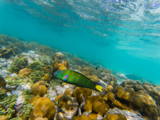 Koh Lipe, les Maldives de la Thaïlande