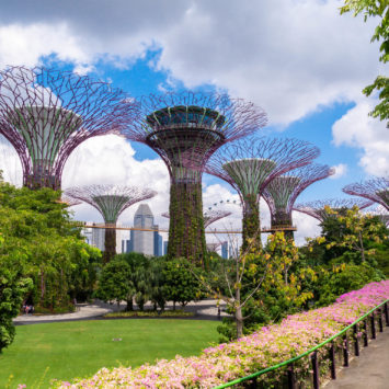 Singapour, la ville du futur