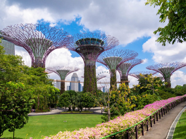 Singapour, la ville du futur