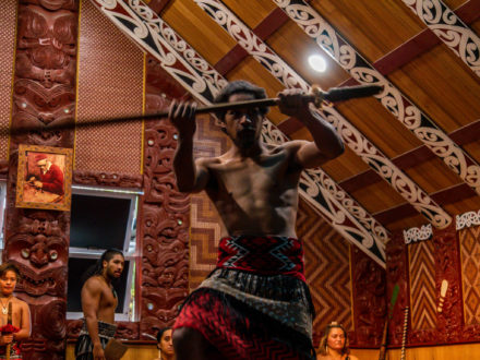 A la rencontre des maoris