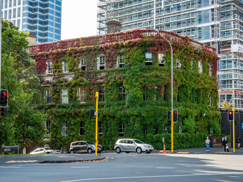 Une maison envahit par la végétation mais en pleine ville