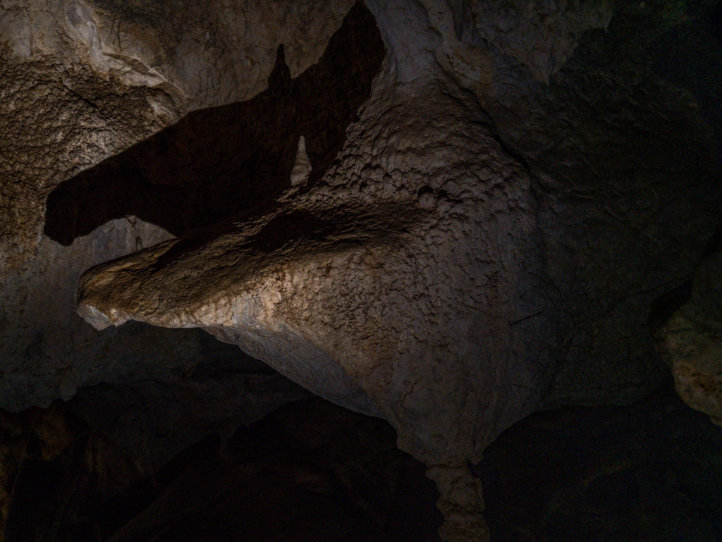 Une des formes particulières de la grotte, une licorne paraît-il