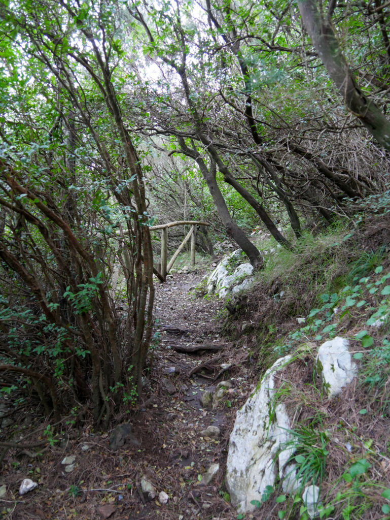 sentier entre la villa Jovis et villa Lysis
